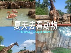 -齐齐哈尔龙沙动植物园