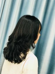 -YESIDO椰岛造型
