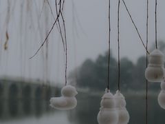 -颐和园