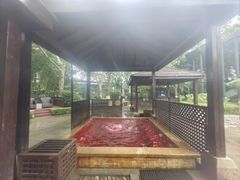 -春晖园度假酒店温泉