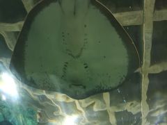 -秦皇岛新澳海底世界