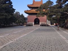 -北陵公园