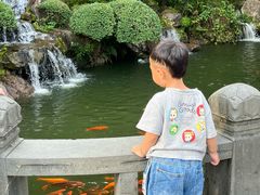-江心屿景区