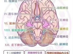 -自然之声助听器(平凉店)