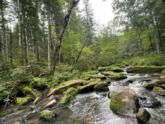 -汤旺河林海奇石景区