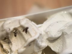 -野人先生现做冰淇淋(北京环宇荟店)