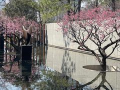 -静安雕塑公园