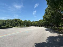 -南湖湿地公园