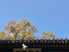 -潭柘寺景区