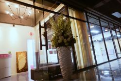 新店环境升级-卡门舞蹈