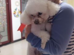 -宠物家(大兴旧宫店)