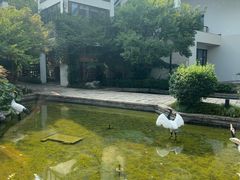 -广富林宰相府酒店·水云间
