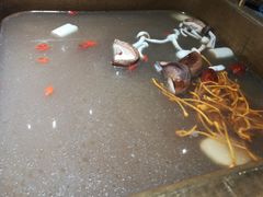 -尚尚仙·酸汤猪手·猪肚鸡火锅(华联万柳购物中心店)