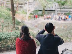 -香港大学