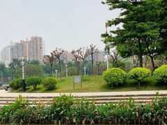 -文华公园(禅城区)