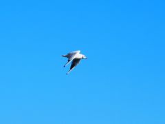 -铁路江上俱乐部