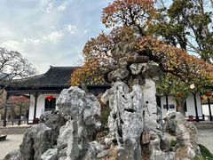 -水绘园