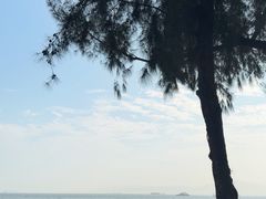 -白城沙滩