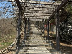 -缥缈峰景区