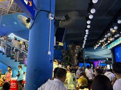 -烟台海昌鲸鲨海洋公园