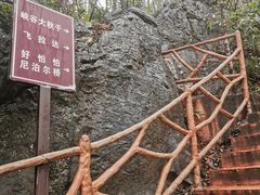 -千岛湖石林