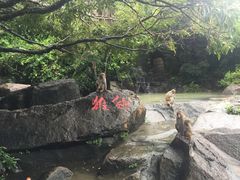 -南湾猴岛+椰田古寨一日游