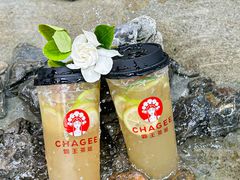 -霸王茶姬(正佳广场店)
