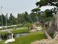 -罗红摄影艺术馆