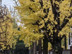 -百林公园-两江幸福广场