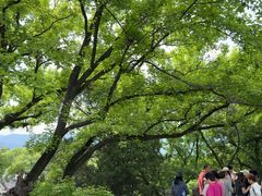 -蒋氏故居