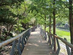 -白水寺森林公园