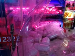 -中环花鸟鱼虫市场