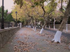 -八大关景区