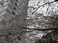 -玛格萝妮比萨屋(四平店)