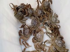 -秋月舫(阳澄湖湖滨中路店)