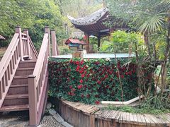 -剑河仰阿莎温泉小镇