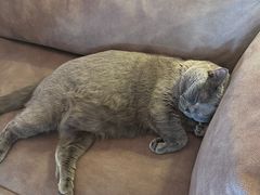 -Me Coffee下午茶艺术空间