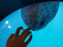 -青岛海底世界-水族馆
