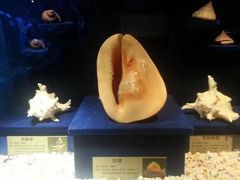-大连圣亚海洋世界