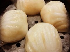 招牌虾饺皇-添运来(茶园奥园广场店)