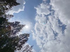 -前小桔亲子创意农场·草莓采摘·露营烧烤