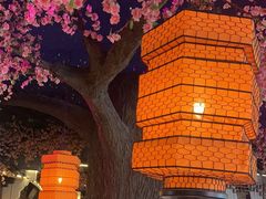 -荷塘秋月·本帮江浙菜(国权路店)