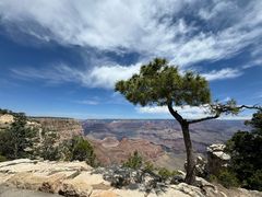 -科罗拉多大峡谷