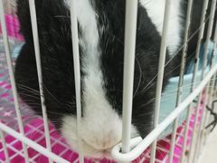-平行世界·猫咖(首经贸店)
