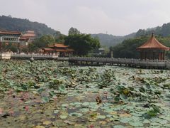 -南国桃园旅游度假区