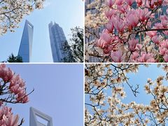 -陆家嘴中心绿地