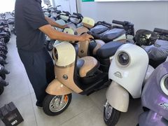 -绿源电动车(普陀专卖店)