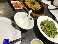 -青叶202都市餐厅(迪诺水镇店)
