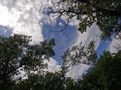 -北京西山国家森林公园