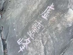 -南山植物园